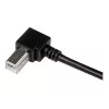 StarTech.com 3m USB 2.0 A auf rechtwinkliger B Kabel – M/M, 3 m, USB A, USB B, USB 2.0, Schwarz