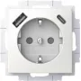BUSCH JAEGER SCHUKO Steckdose USB-A+C 20 EUCB2USBAC-914 (2CKA002011A6298)