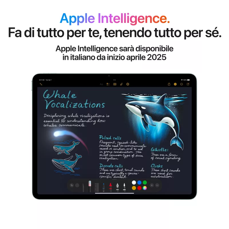 Apple iPad Air 11 WiFi Grau - Tablet
