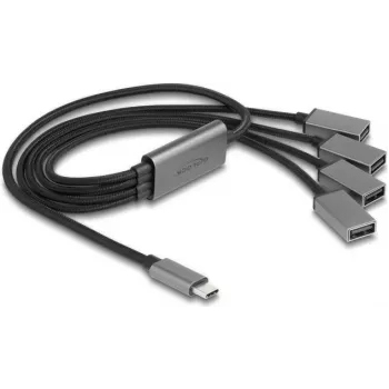 DeLOCK 64210 USB 2.0 Typ-C Hub 480 Mbit/s Schwarz Grau