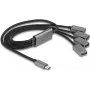 DeLOCK 64210 USB 2.0 Typ-C Hub 480 Mbit/s Schwarz Grau