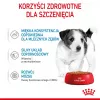 ROYAL CANIN SHN Mini Puppy in Sauce - Nassfutter für Welpen - 12X85g