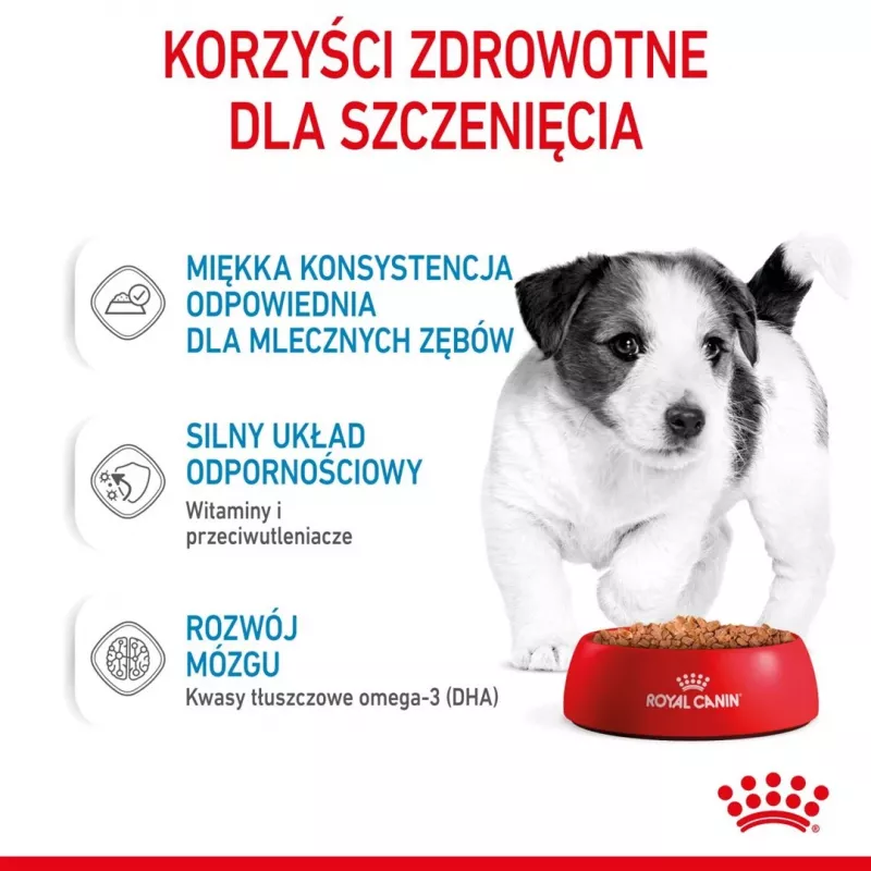 ROYAL CANIN SHN Mini Puppy in Sauce - Nassfutter für Welpen - 12X85g