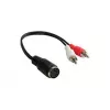 Alcasa AD-2CS5B Audiokabel 0,2 m 2 x RCA DIN (5-polig) Schwarz - Rot - Weiß (AD-2CS5B)
