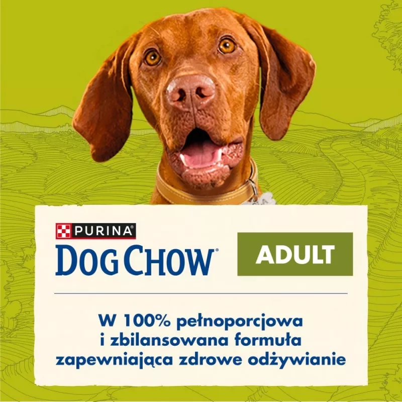 PURINA Dog Chow Adult Lamb - Trockenfutter für Hunde - 14 + 2,5 kg