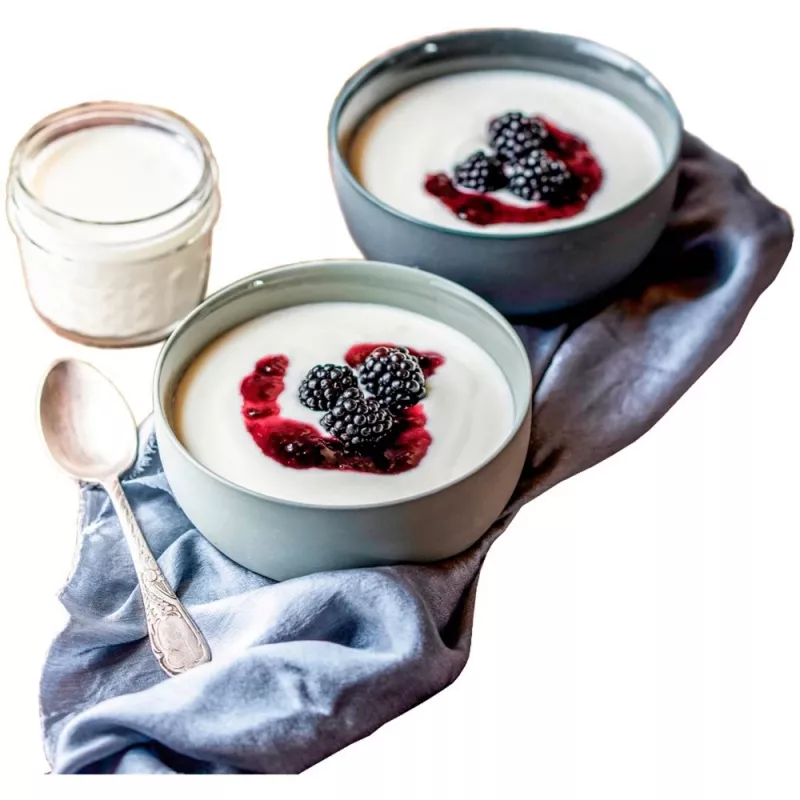 Rommelsbacher JG 80 Joghurtbereiter 1,2 l Quark - Joghurt 20 W (JG80)