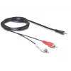Audiokabel DeLOCK 84000 1,5 m 2xRCA 3,5 mm Schwarz