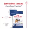 Trockenfutter für Hunde Royal Canin Maxi Adult 15 kg — Huhn, 26% Protein, 17% Fett, Verdauungsunterstützung