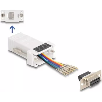 DeLOCK 67078 Kabel-Adapter D-Sub 9 RJ12 Weiß