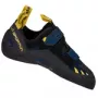 Tarantula Boulder Night Blue/Moos