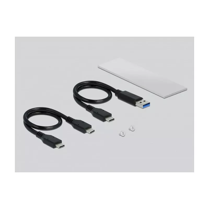 SSD-Gehäuse DeLOCK 42634 Silber M.2