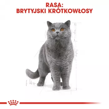 Nassfutter für Katzen Royal Canin British Shorthair Adult Beutel 85 g, Geflügel, ROYAL CANIN Feline Breed Nutrition