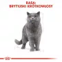 Nassfutter für Katzen Royal Canin British Shorthair Adult Beutel 85 g, Geflügel, ROYAL CANIN Feline Breed Nutrition