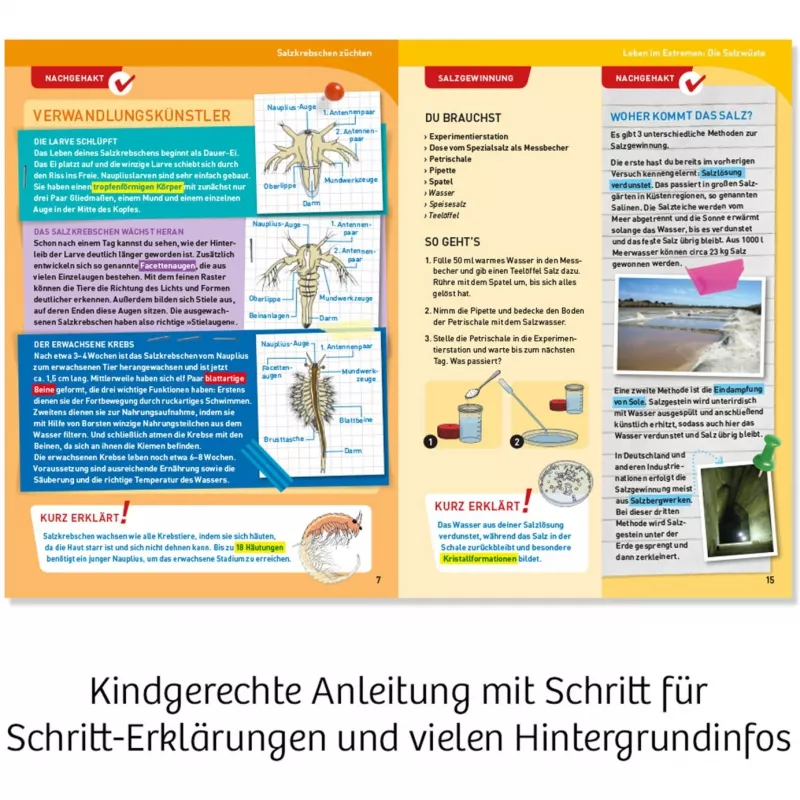 Kosmos 63326 Kinder-Wissenschaftsspielzeug
