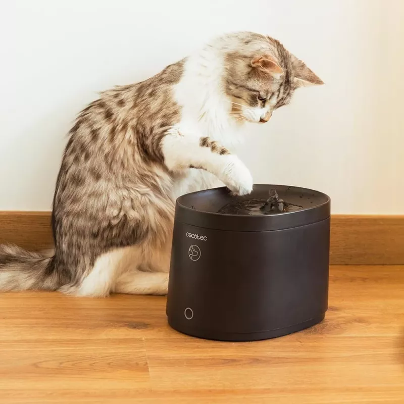 Haustier-Trinkbrunnen CECOTEC Pumba 2500 Refresh Smart Pet Fountain, Modell 9563