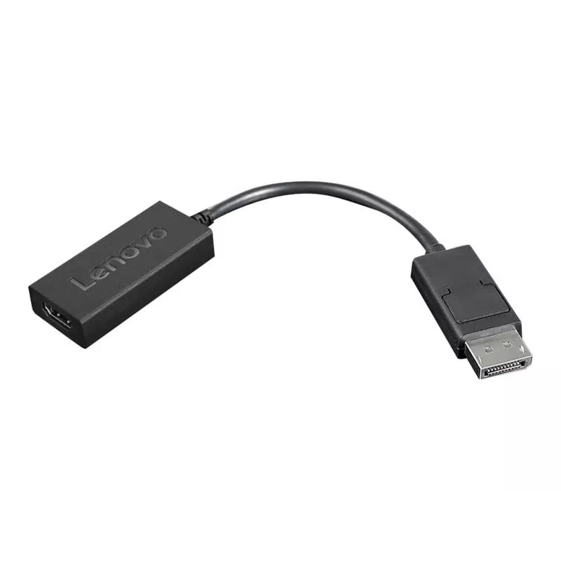 Lenovo 4X90R61023 Videokabel-Adapter 0,225 m DisplayPort HDMI Typ A (Standard) Schwarz
