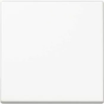 JUNG A1700WW A1700WW Steuerungstaste Standard (A1700WW)