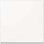 JUNG A1700WW A1700WW Steuerungstaste Standard (A1700WW)