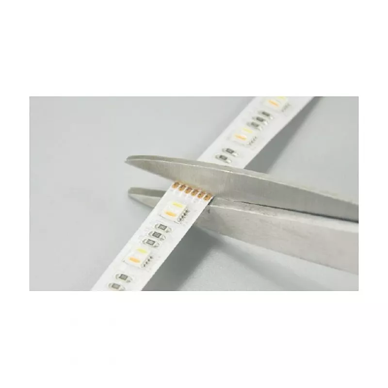 Synergy 21 LED Flex Strip 5050 - 84 RGB DC24V + RGB-WW (RGB-CCT) ein Chip HD IP20
