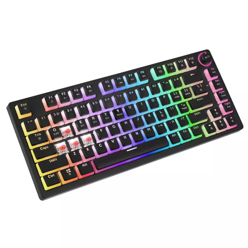 Gaming-Tastatur Savio SAVGK-PHENIX RED PUDDING mechanisch RGB Wireless