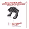 Trockenfutter für Katzen Royal Canin FHN Ageing 11+ 4 kg — Alleinfuttermittel für ältere Katzen, Geflügel, 30% Protein