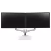 ERGOTRON LX Dual Side-by-Side Arm silber poliertes Aluminium