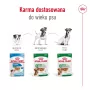 Nassfutter für Hunde Royal Canin Mini Adult Beutel 85 g, Geflügel, für kleine Rassen 5–10 kg, 12 × 85 g Packung