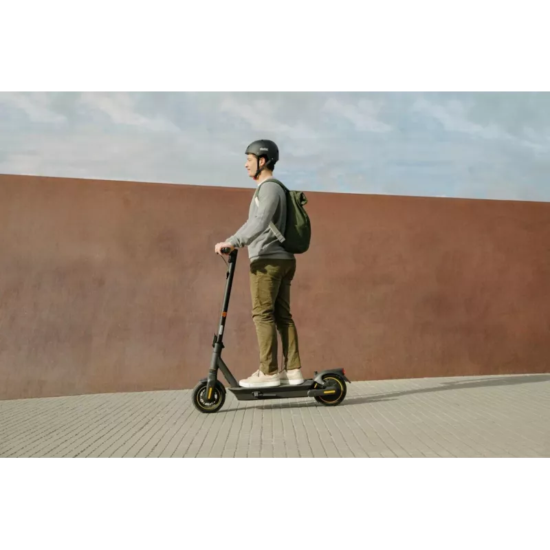 Classic scooter Ninebot by Segway KickScooter MAX G2 D