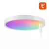 Smarte Deckenleuchte 30cm WiFi/Bluetooth 16M RGBCW Gosund LB12 1920lm Tuya + Fernbedienung.