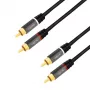 LogiLink CA1202 Audiokabel 1 m 2 x RCA Schwarz (CA1202)