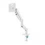 Monitorhalterung Gembird MA-DA1-04-W Klemmständer für 17-Zoll–32-Zoll Bildschirme, VESA 75x75–100x100, max. Traglast 10 kg, weiß