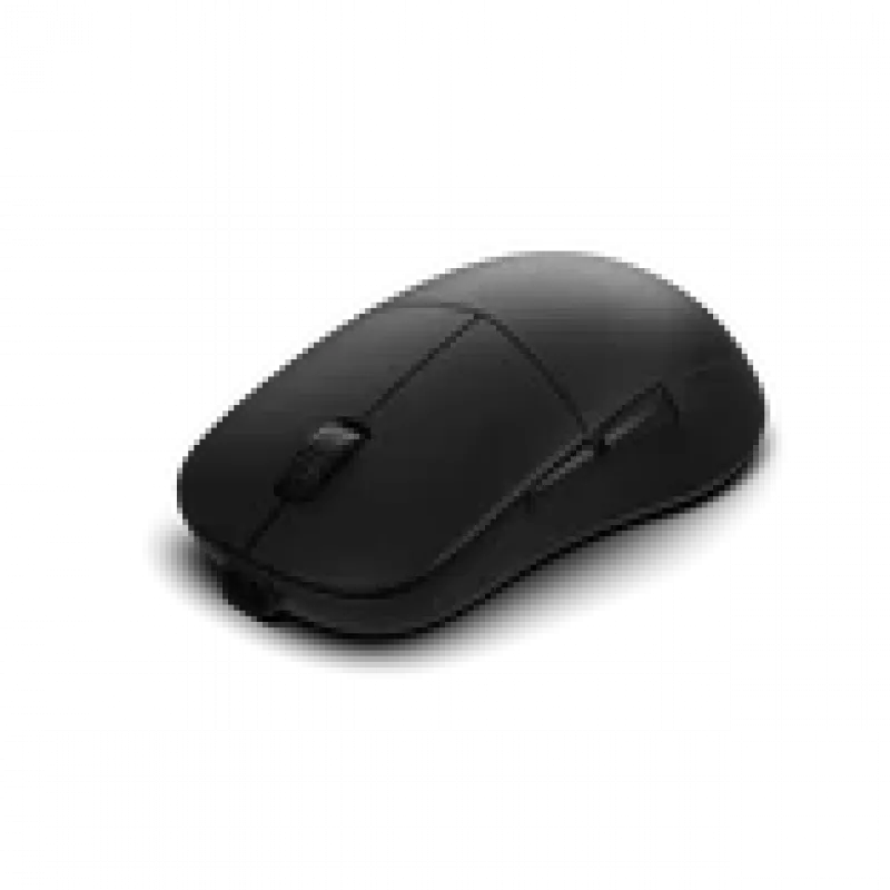 Gaming-Maus Endgame Gear XM2w 4k v2, 4.000 Hz