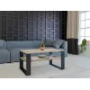 Topeshop MODERN 1P SON CZ Couchtisch / Beistelltisch / Ecktisch Couchtisch rechteckige Form 2 Bein(e)