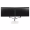 ERGOTRON LX Dual Side-by-Side Arm silber poliertes Aluminium