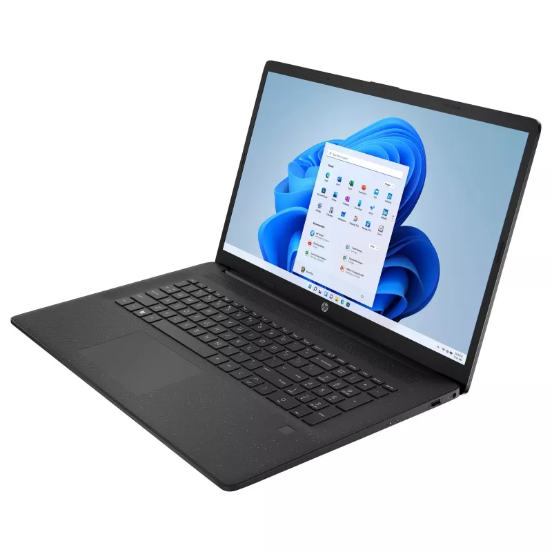 HP 17-cp3077ng Notebook 43,9 cm (17,3) 1920x1080 - Ryzen 7 7730U - 1TB SSD - HDMI/USB-C - Windows 11 Home - Silber (17-cp3077ng)