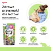 INABA Juicy Bites Hausgemachte Brühe und Calamari - Katzensnacks - 3x11,3 g