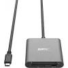 Kartenleser Emtec ECCAREADT610C USB 3.1 Grau