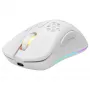Gaming-Maus Deltaco GAM-120-W RF Wireless USB Type-C