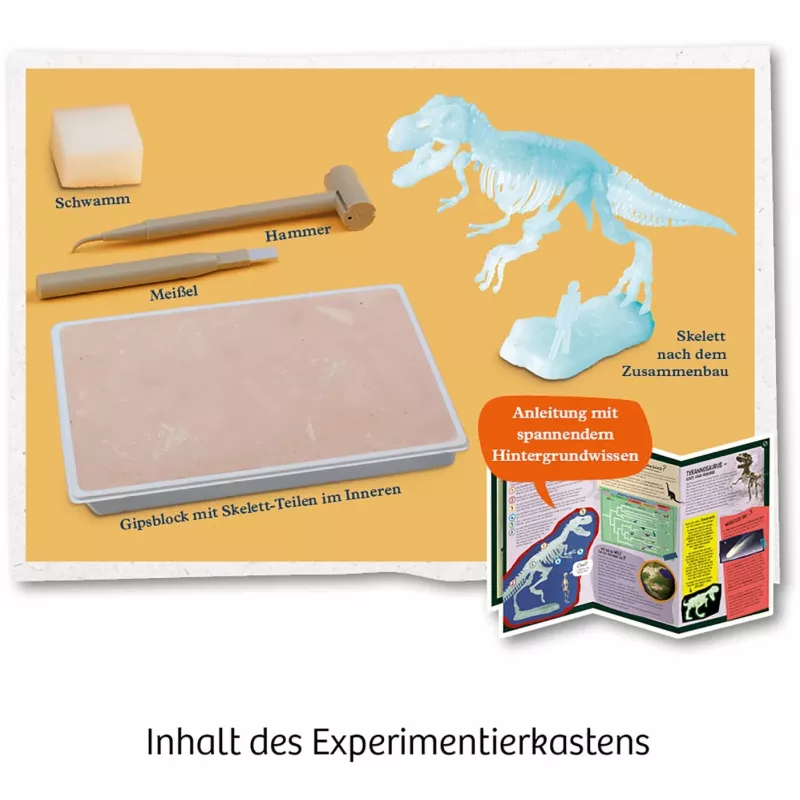 Kosmos T-REX, Augmented Reality, 7 Jahr(e), Grün Kosmos T-REX. Typ: Augmented Reality, Empfohlenes Alter (mind.): 7 Jahr(e), Produktfarbe: Grün