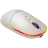 CANYON Maus MW-22 2-in-1 BT/Wireless Rice