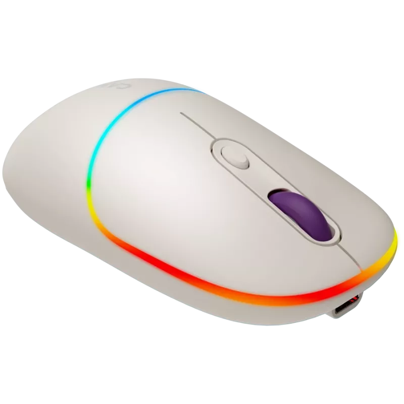 CANYON Maus MW-22 2-in-1 BT/Wireless Rice
