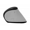 Kabellose Vertikalmaus NATEC Euphoniе Pro Bluetooth 5.0, 4000 DPI, programmierbar, leise, weiß