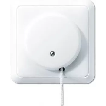 JUNG 5506ZUWW - Zugkettenschalter - Kabelgebunden - Weiß - Duroplast - 250 V - 10 A