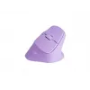 NATEC Crake 2 Maus Universal Rechtshänder RF Wireless + Bluetooth Optisch 2400 DPI