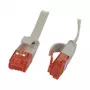 Synergy 21 0,5m Cat6 RJ-45 - 0,5 m - Cat6 - U/UTP (UTP) - RJ-45 - RJ-45 - Grau
