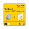 DeLOCK 11499 Steckdose Typ F mit USB-A und USB-C Weiß