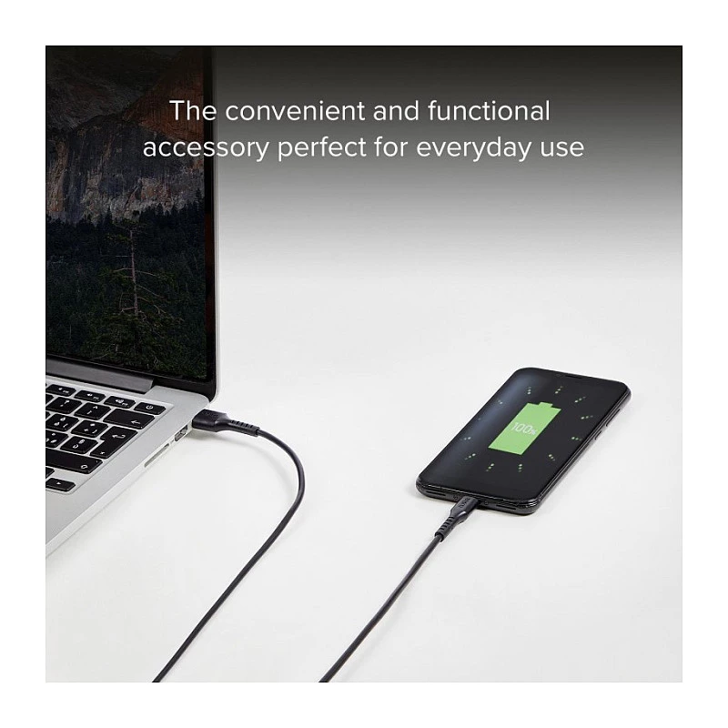 SBS TECABLEMICRO2K 2m USB A Micro-USB B Male Male Schwarz USB-Kabel (TEKabelMICRO2K)