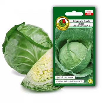 Samenpackung Apte — Weißkohl 'Roem Van Enkhuizen' (2 g) Gemüsesamen