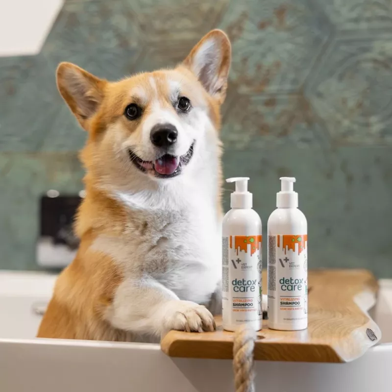 VetExpert Detox Care Vitalizing Shampoo für Hunde und Katzen, 250 ml