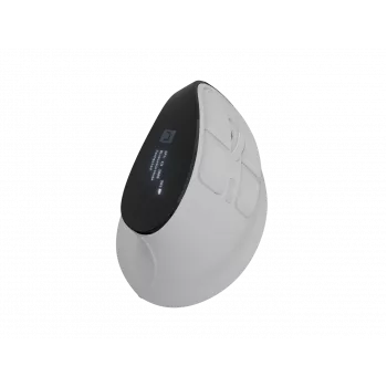 Kabellose Vertikalmaus NATEC Euphoniе Pro Bluetooth 5.0, 4000 DPI, programmierbar, leise, weiß